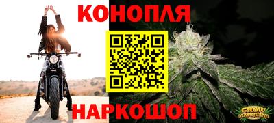 каннабис Будённовск